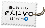 野の花ブログ「のんはな」はコチラ